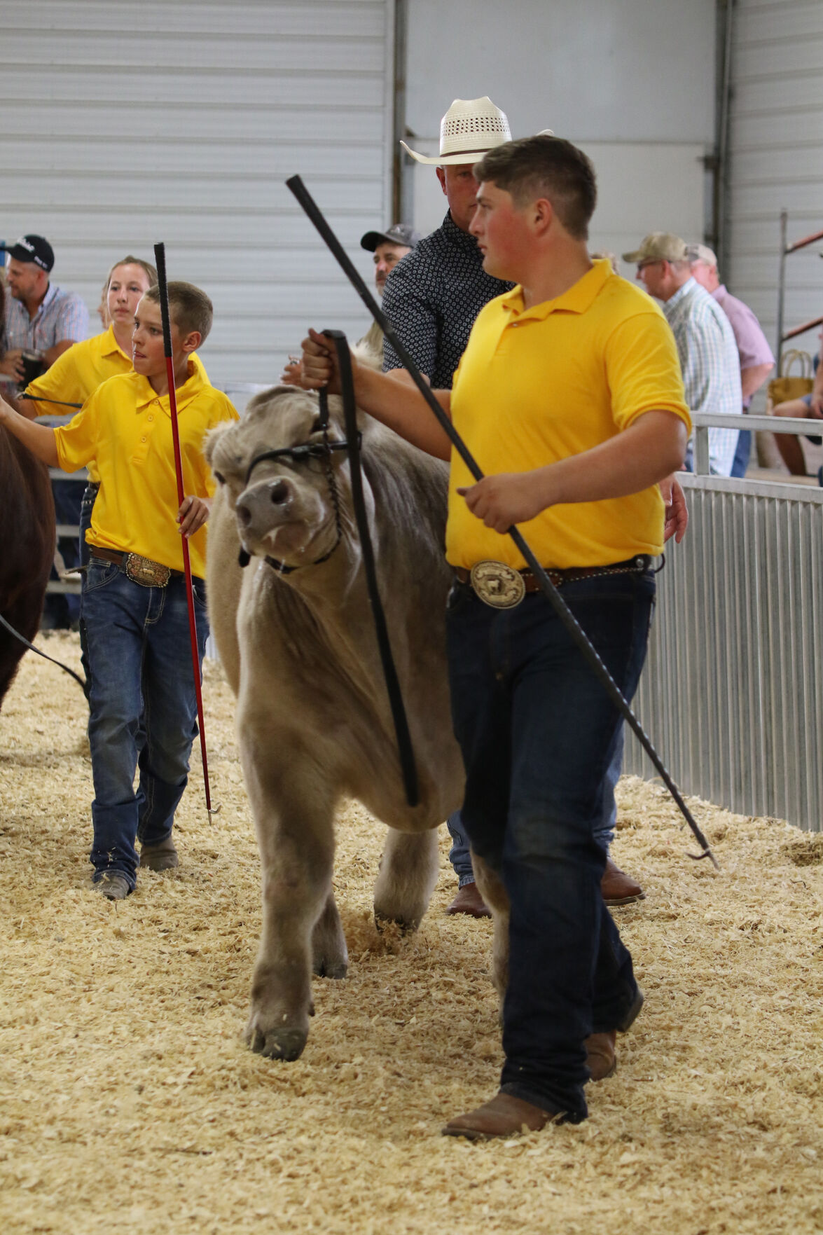 PHOTOS: Market Beef Show 2020